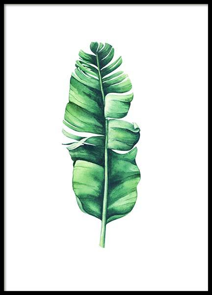 Banana Leaf Aquarelle Poster no grupo Posters  / Bot�nico em Desenio AB (10071)