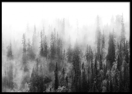 Over The Forest Poster no grupo Posters  / Preto e branco em Desenio AB (10177)