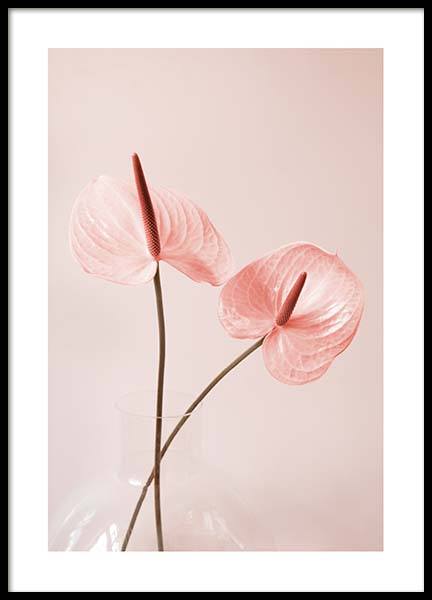 Pink Anthurium No2 Poster no grupo Posters  / Bot�nico em Desenio AB (10210)