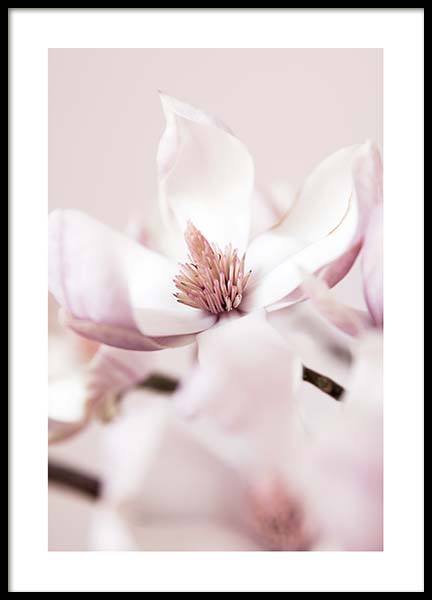 Spring Feels Poster no grupo Posters  / Bot�nico em Desenio AB (10214)