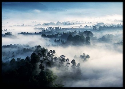 Misty Rainforest Poster no grupo Posters  / Natureza em Desenio AB (10241)