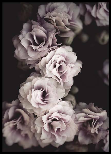 Bouquet De Fleurs Poster no grupo Posters  / Arte fotográfica em Desenio AB (10433)