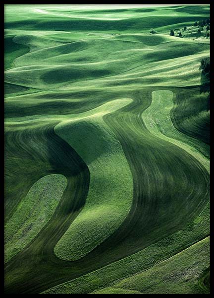 Abstract Field Poster no grupo Posters  / Natureza em Desenio AB (10441)