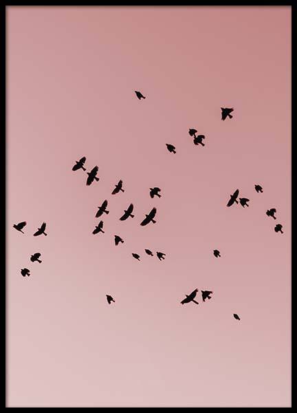 Pink Bird Sky Poster no grupo Posters  / Natureza em Desenio AB (10444)