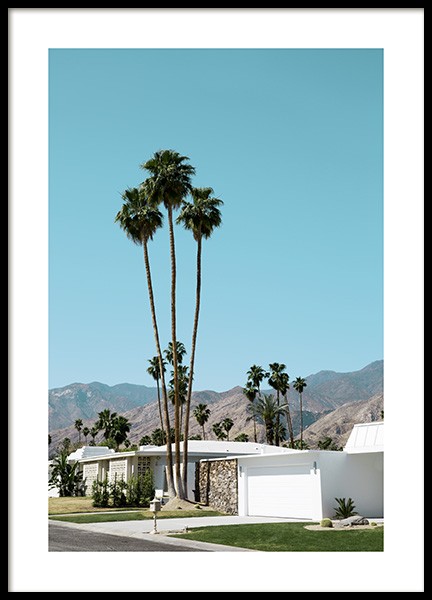 Street of Palm Springs Poster no grupo Studio Collections / Studio Coast to Coast em Desenio AB (10790)