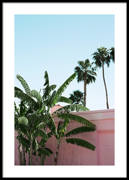 Pink Banana Leaves Poster no grupo Studio Collections / Studio Coast to Coast em Desenio AB (10791)