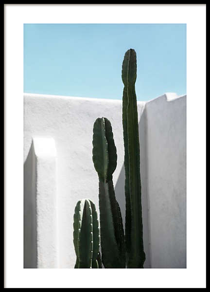 Cactus Wall Poster no grupo Studio Collections / Studio Coast to Coast em Desenio AB (10792)