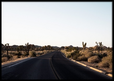 Joshua Tree Road Poster no grupo Studio Collections / Studio Coast to Coast / Palm Springs em Desenio AB (10799)
