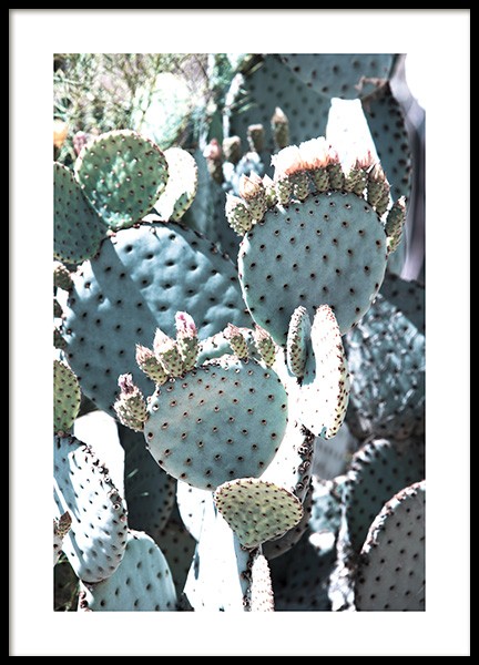 Pastel Pear Cactus No2 Poster no grupo Posters  / Bot�nico em Desenio AB (10834)