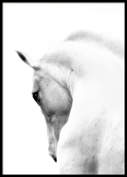 Fading Horse No2 Poster no grupo Posters  / Animais em Desenio AB (10874)
