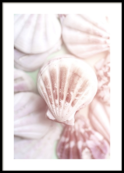 Pastel Seashells Poster no grupo Posters  / Arte fotogr�fica em Desenio AB (10883)