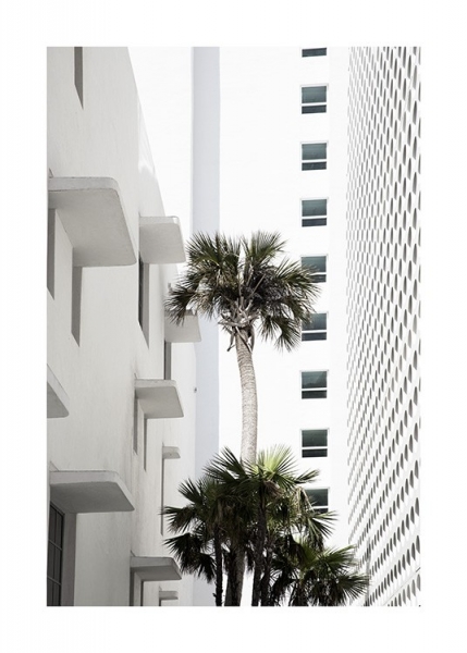 White Palm Facade Poster no grupo Posters  / Arte fotogr�fica em Desenio AB (10954)
