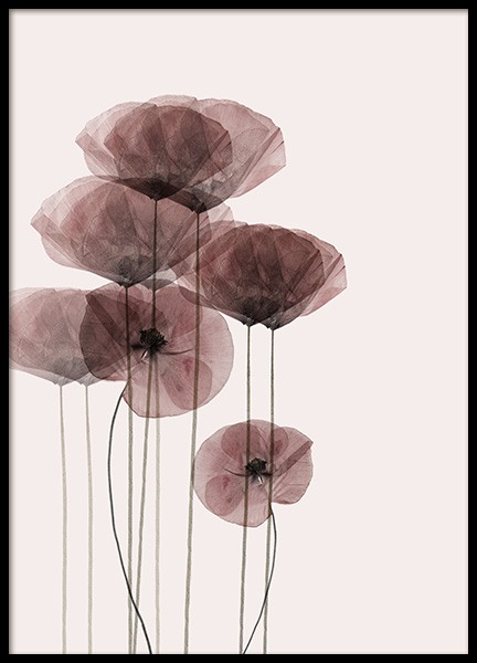 Poppy Bunch Poster no grupo Posters  / Bot�nico em Desenio AB (10968)