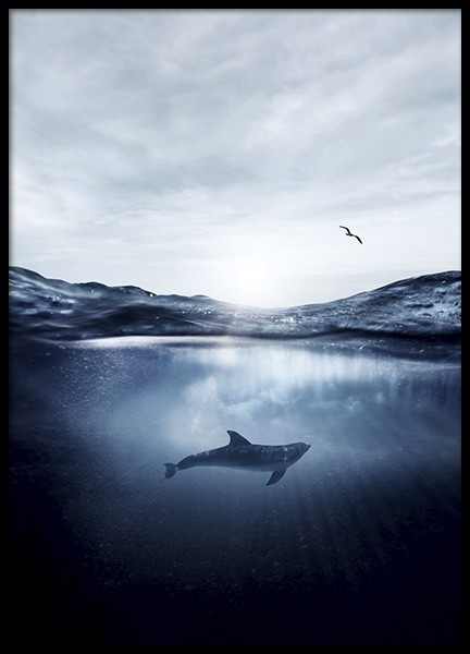 Dolphin Underwater Poster no grupo Campanha em Desenio AB (11049)