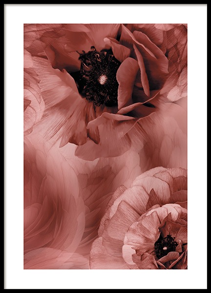 Pink Poppy Poster no grupo Novidades em Desenio AB (11184)