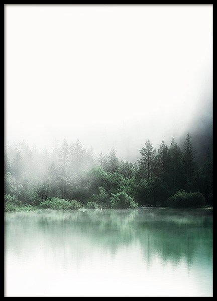 Forest Reflections Poster no grupo Posters  / Natureza em Desenio AB (11266)