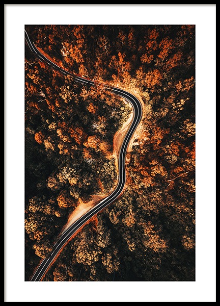 Autumn Aerial View Poster no grupo Posters  / Natureza / Florestas em Desenio AB (11576)