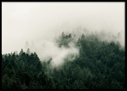 Dark Misty Forest Poster no grupo Posters  / Natureza em Desenio AB (11881)