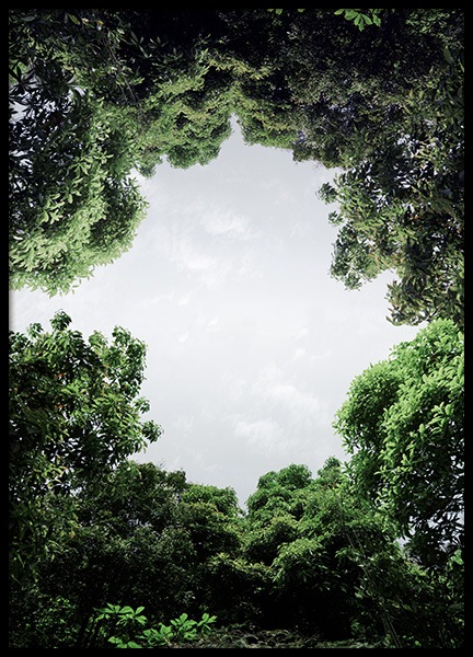 Circle of Trees Poster no grupo Posters  / Natureza em Desenio AB (12081)
