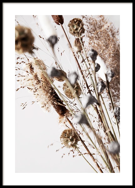 Dry Reeds No2 Poster no grupo Posters  / Arte fotográfica em Desenio AB (12420)