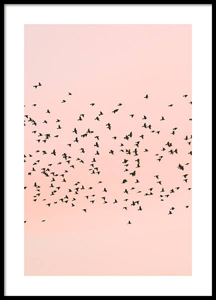 Pink Sunset Birds Poster no grupo Posters  / Natureza / Céus em Desenio AB (12601)