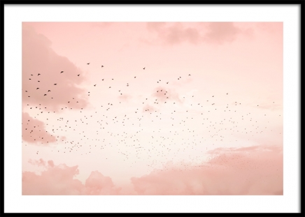 Flock of Birds Poster no grupo Posters  / Natureza em Desenio AB (12602)