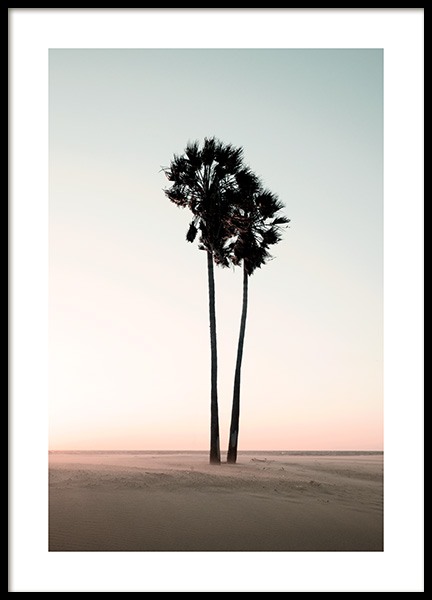 Coconut Palm Trees Poster no grupo Posters  / Natureza / Tropical em Desenio AB (12647)