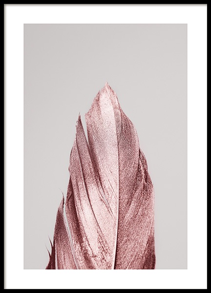 Pink Feather Poster no grupo Campanha em Desenio AB (13220)