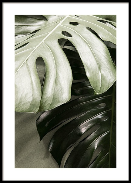 Monstera together Poster no grupo  em Desenio AB (13571)
