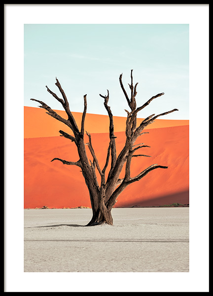Red Desert Poster no grupo Posters  / Natureza / Desertos em Desenio AB (14165)