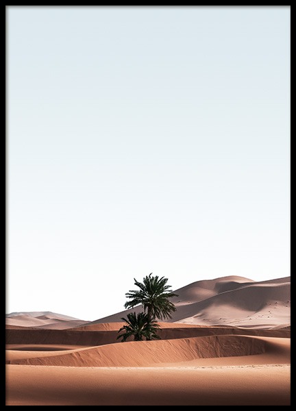 Merzouga Desert Poster no grupo Posters  / Natureza / Desertos em Desenio AB (14444)