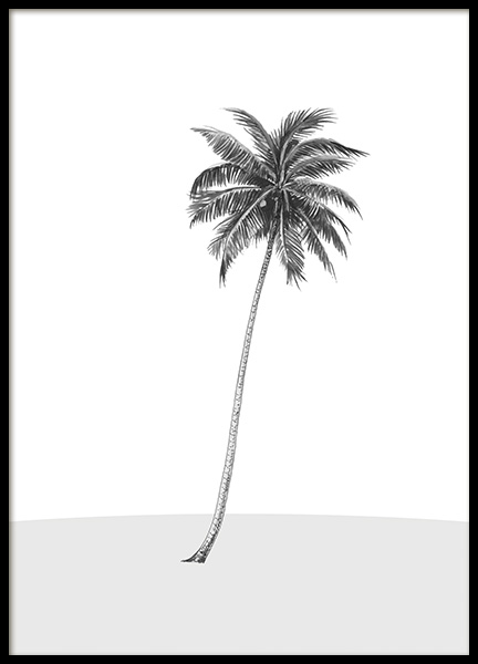 Lonely Palm Tree Poster no grupo Posters  / Natureza / Desertos em Desenio AB (14564)