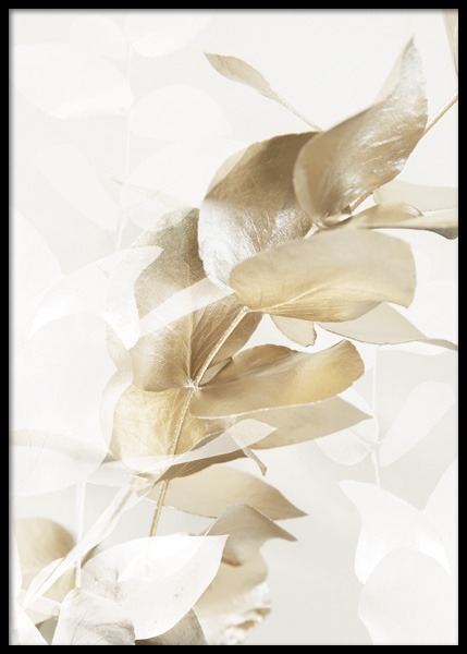  – Fotografia em promenor de um ramo de eucalipto dourado e folhas de eucalipto ilustradas sob um fundo bege claro