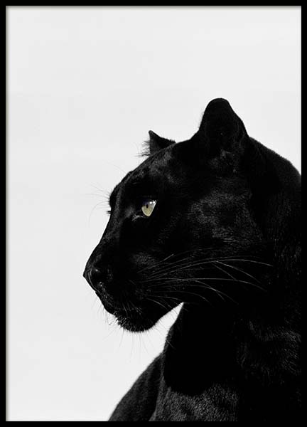Black Panther Poster no grupo Posters  / Animais em Desenio AB (2273)