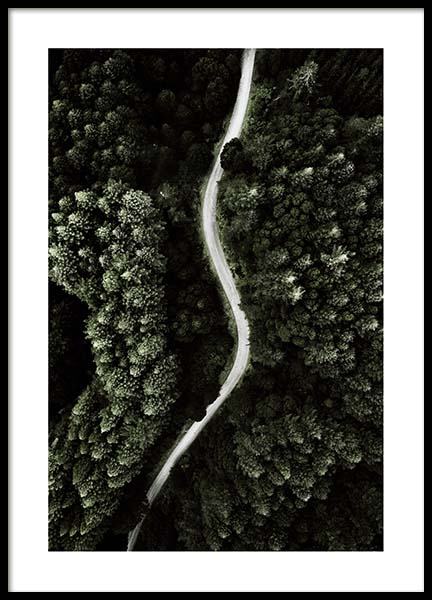 Forest Above Poster no grupo Posters  / Natureza em Desenio AB (2713)