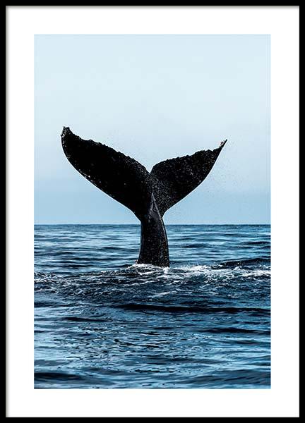 Humpback Tale Poster no grupo Posters  / Animais em Desenio AB (2729)