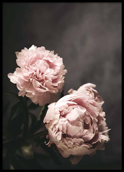 There's Beauty Poster no grupo Posters  / Arte fotográfica em Desenio AB (2788)