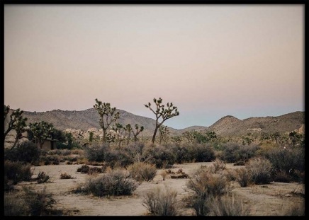 Mojave Desert Poster no grupo Posters  / Natureza / Desertos em Desenio AB (2888)