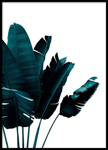 Green Banana Leaves Poster no grupo Posters  / Bot�nico em Desenio AB (2906)