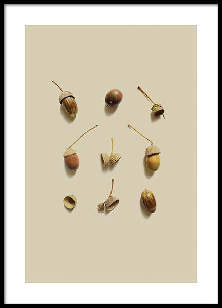 Acorn Composition 1 Poster no grupo Posters  / Arte fotogr�fica em Desenio AB (3251)