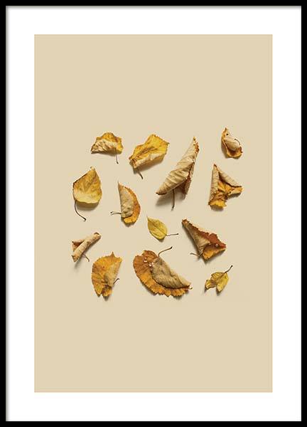 Leaves Composition Poster no grupo Posters  / Arte fotogr�fica em Desenio AB (3253)