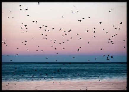 Birds At Dusk Poster no grupo Posters  / Natureza em Desenio AB (3298)
