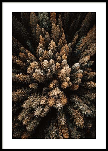 Trees Above Poster no grupo Posters  / Natureza em Desenio AB (3314)