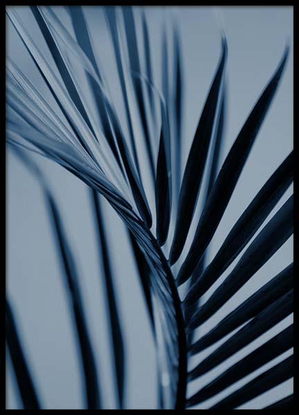 Blue Plant Four Poster no grupo Posters  / Bot�nico em Desenio AB (3343)