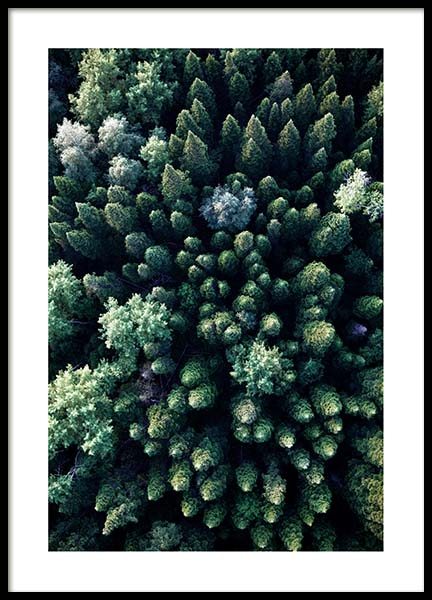Forest Aerial Poster no grupo Posters  / Natureza em Desenio AB (3576)