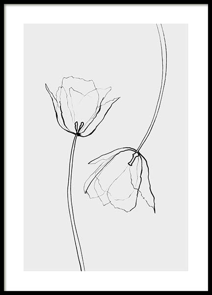 Line Tulips Poster no grupo Posters  / Bot�nico em Desenio AB (3601)