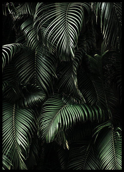 Dark Green Palm Leaves No2 Poster no grupo Posters  / Bot�nico em Desenio AB (3773)