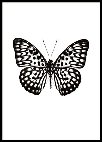 Butterfly Black And White Poster no grupo Posters  / Animais em Desenio AB (7591)