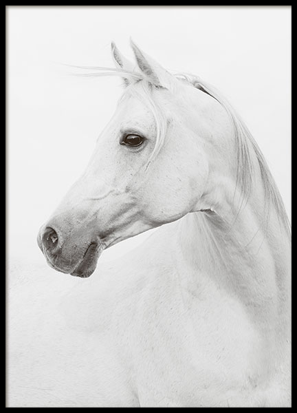 Horse Poster no grupo Posters  / Animais em Desenio AB (8109)