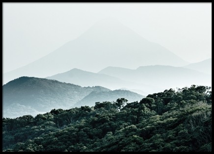 Forest Hills Poster no grupo Posters  / Natureza em Desenio AB (8307)